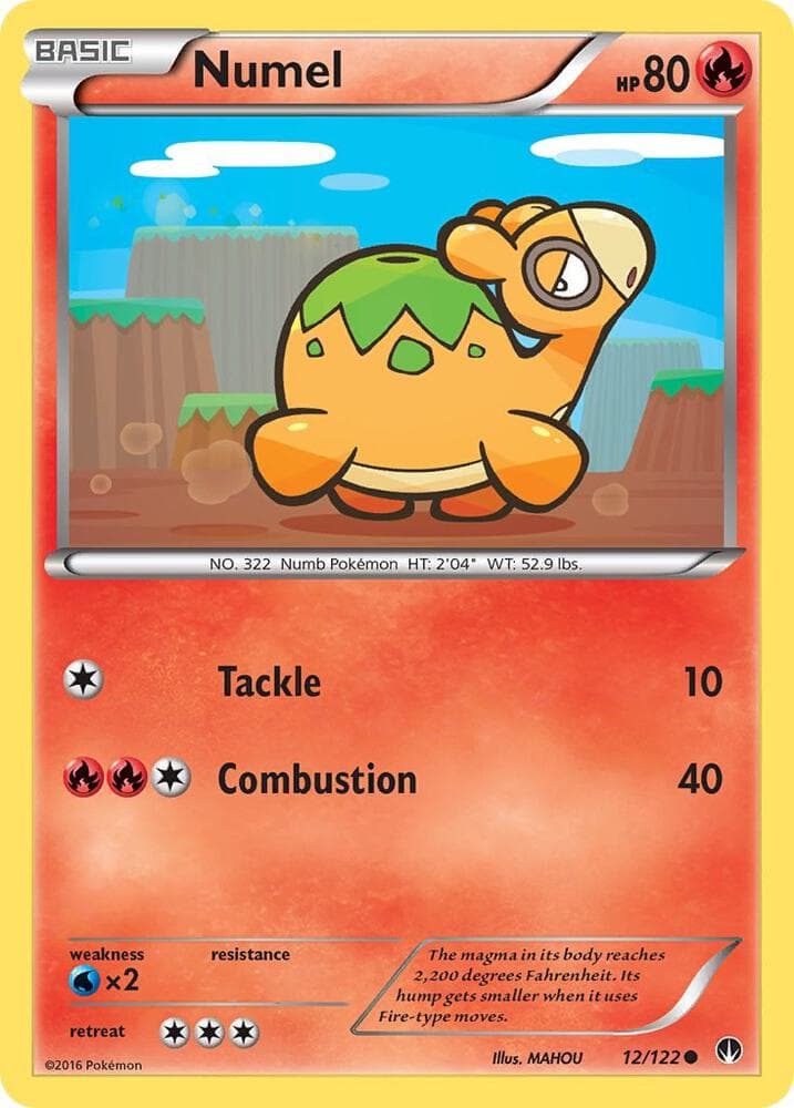 Numel Basic