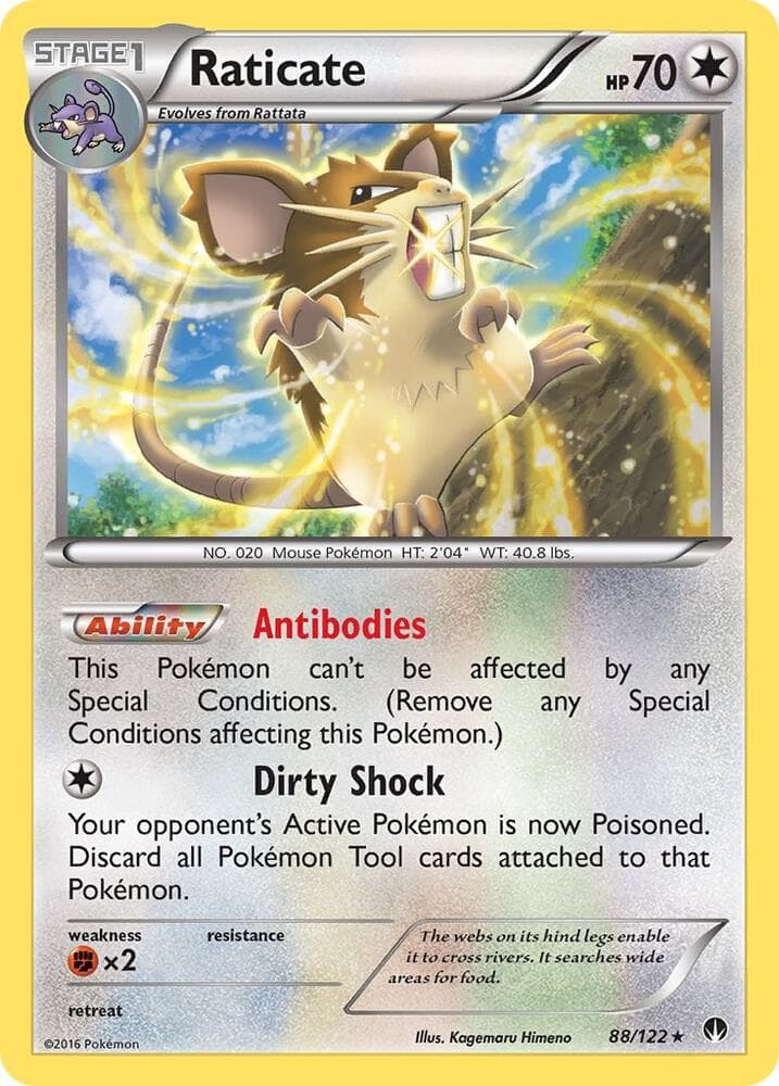Raticate Stage 1