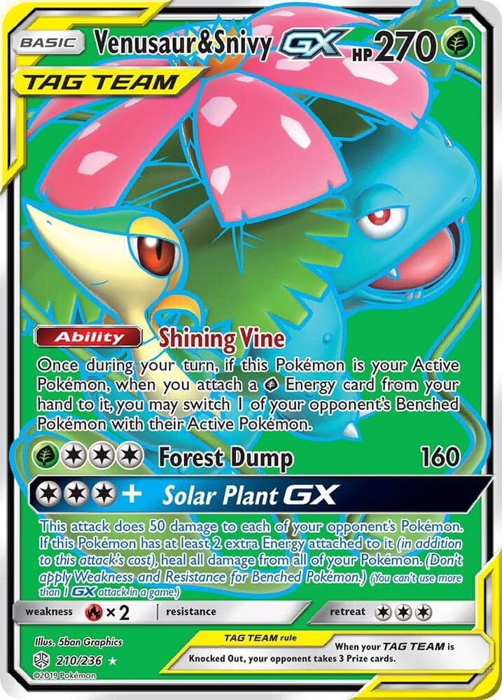 Venusaur and Snivy GX Full Art Basic
