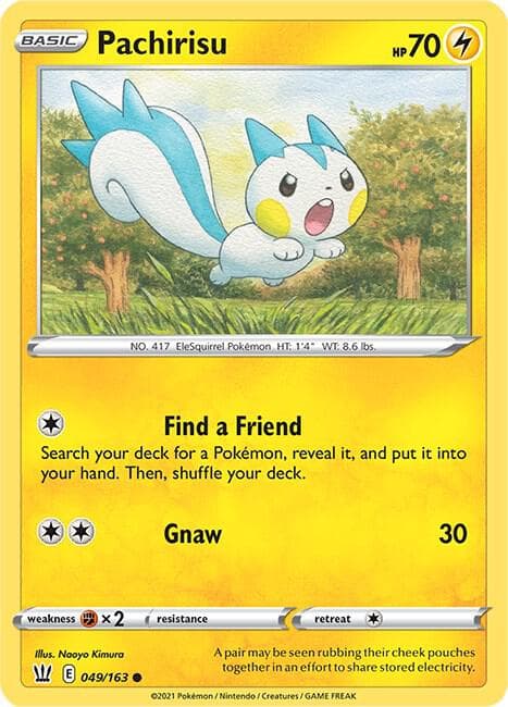Pachirisu Basic