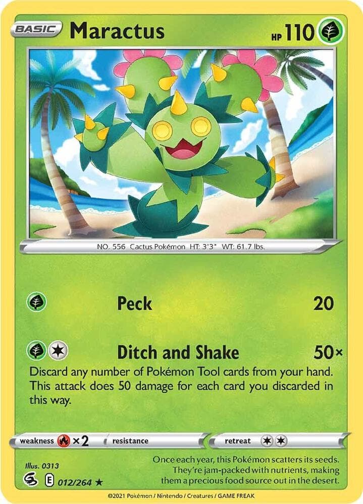 Maractus Basic