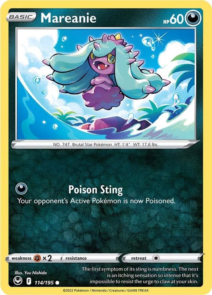 Mareanie Basic