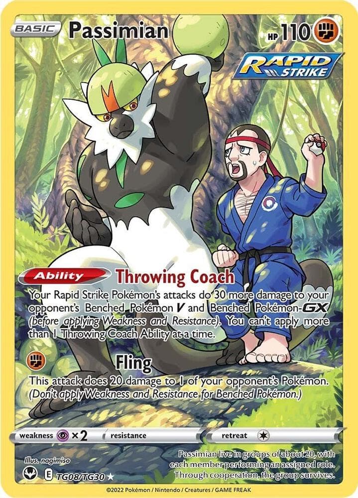 Passimian Basic