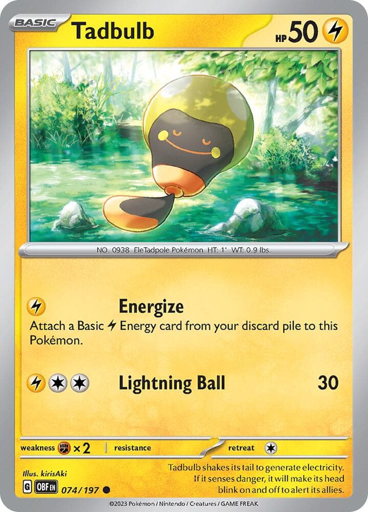 Tadbulb Basic