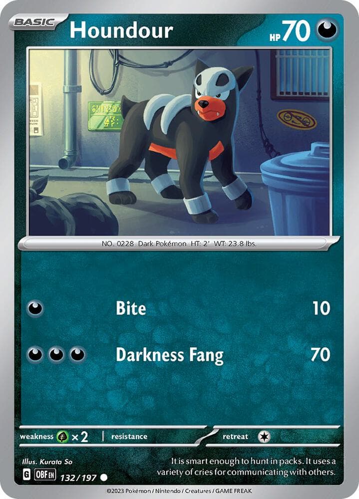 Houndour Basic