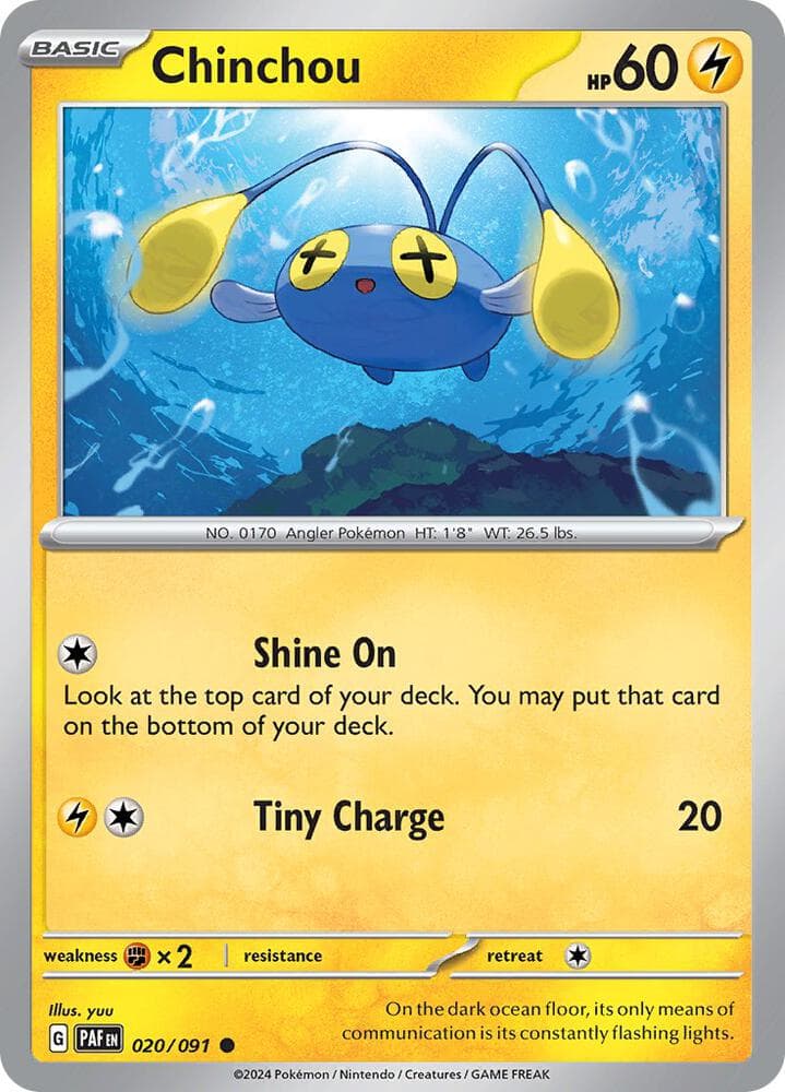 Chinchou Basic