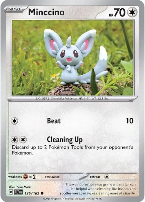 Minccino Basic