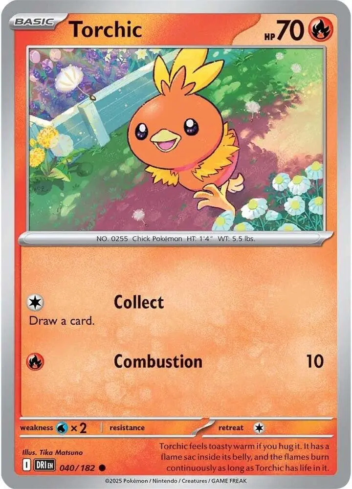 Torchic Basic