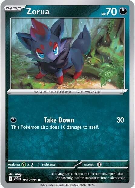Zorua Basic