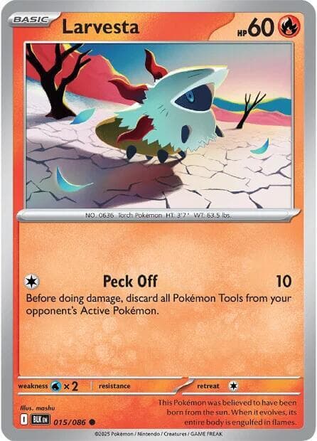 Larvesta Basic