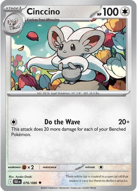 Cinccino Stage 1