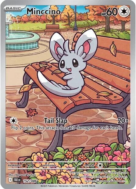 Minccino Basic