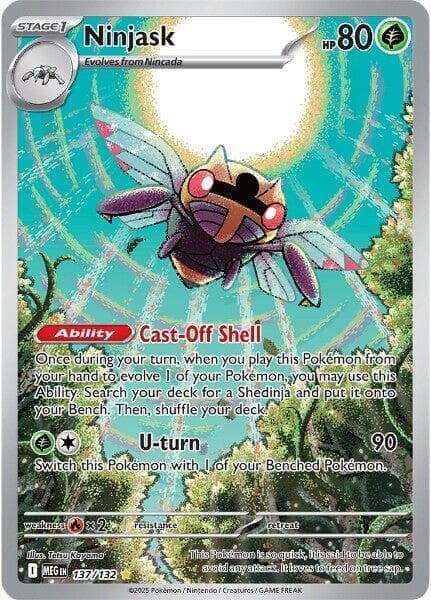 Ninjask Stage 1