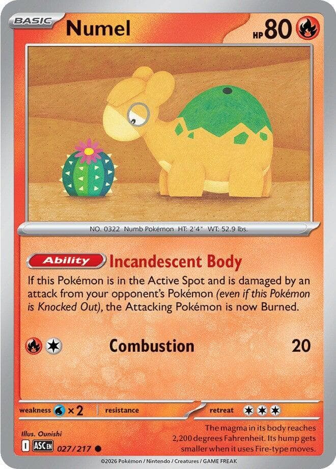 Numel Basic