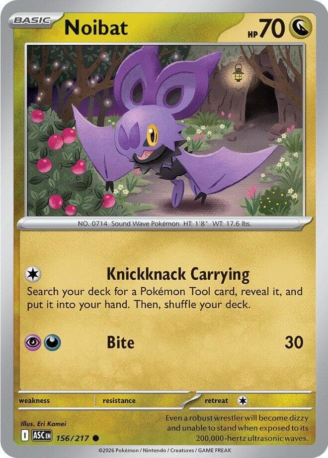 Noibat Basic