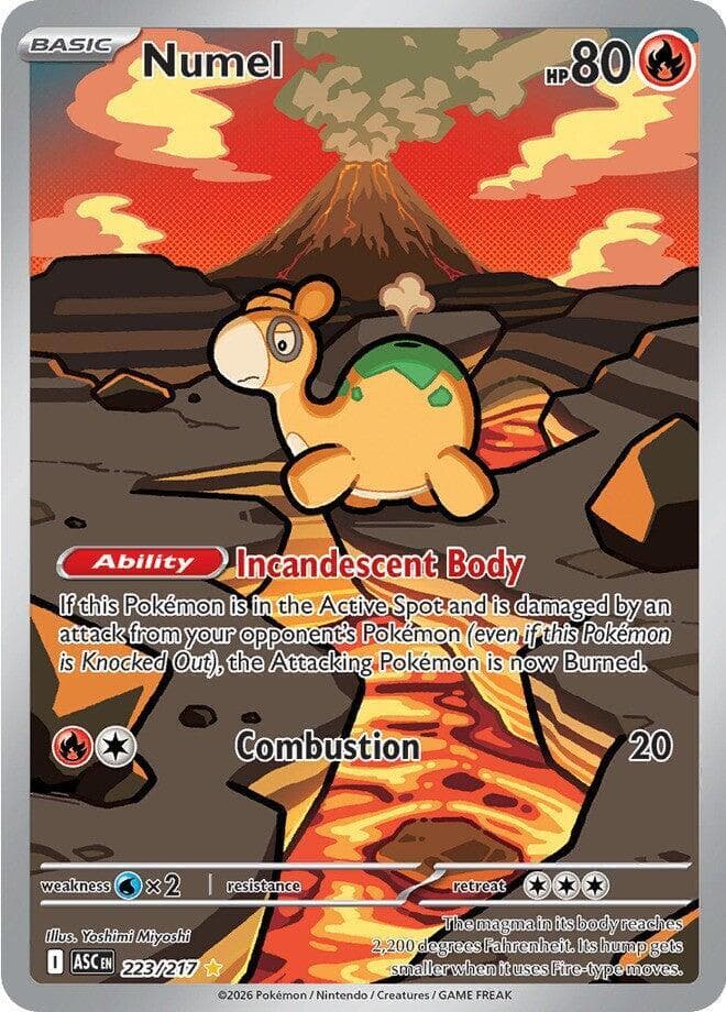 Numel Basic