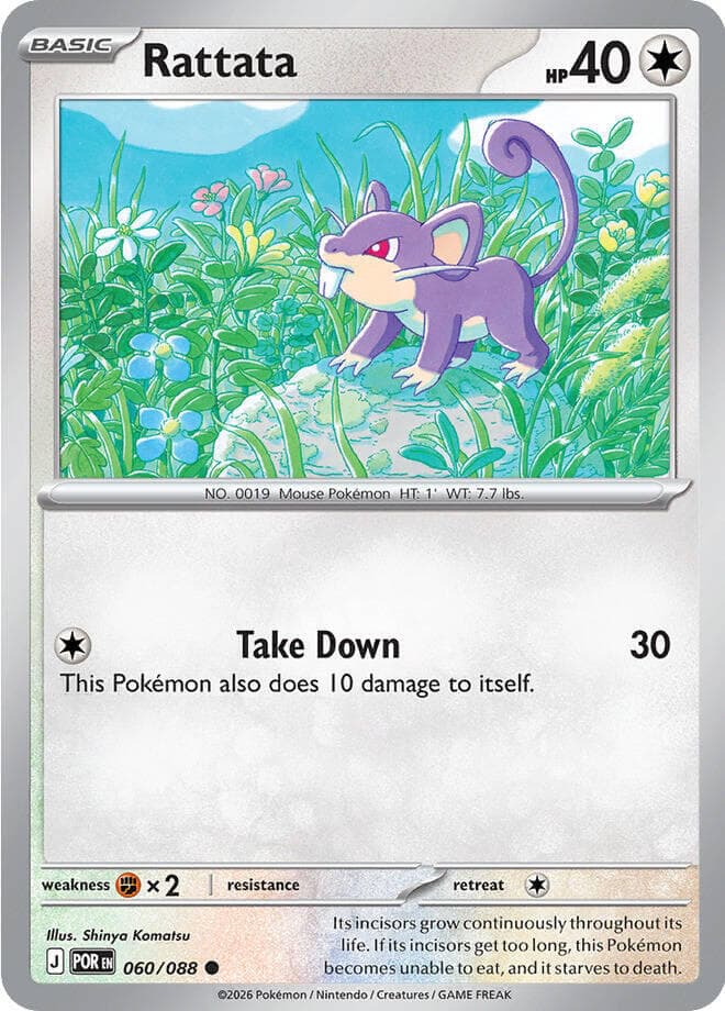Rattata Basic