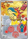 Cyndaquil 047