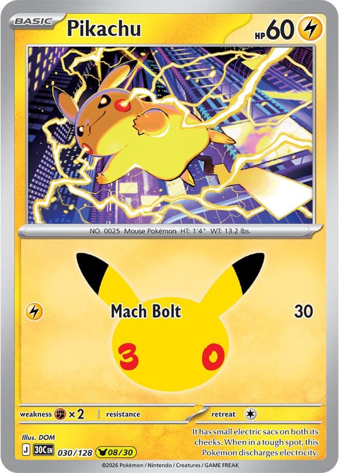 Pikachu Basic