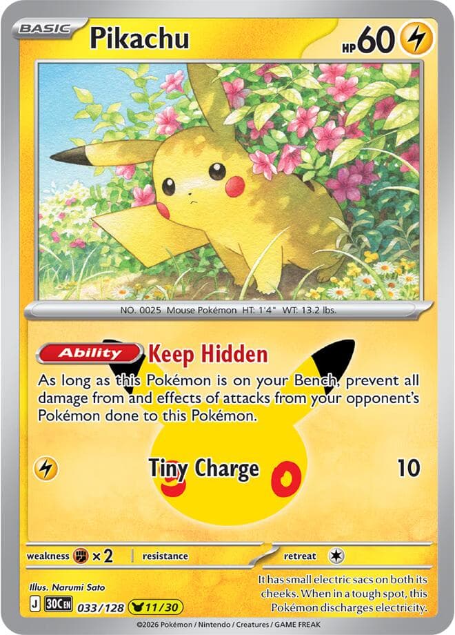 Pikachu Basic