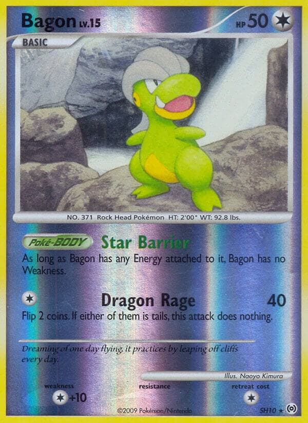 Bagon Shiny Basic