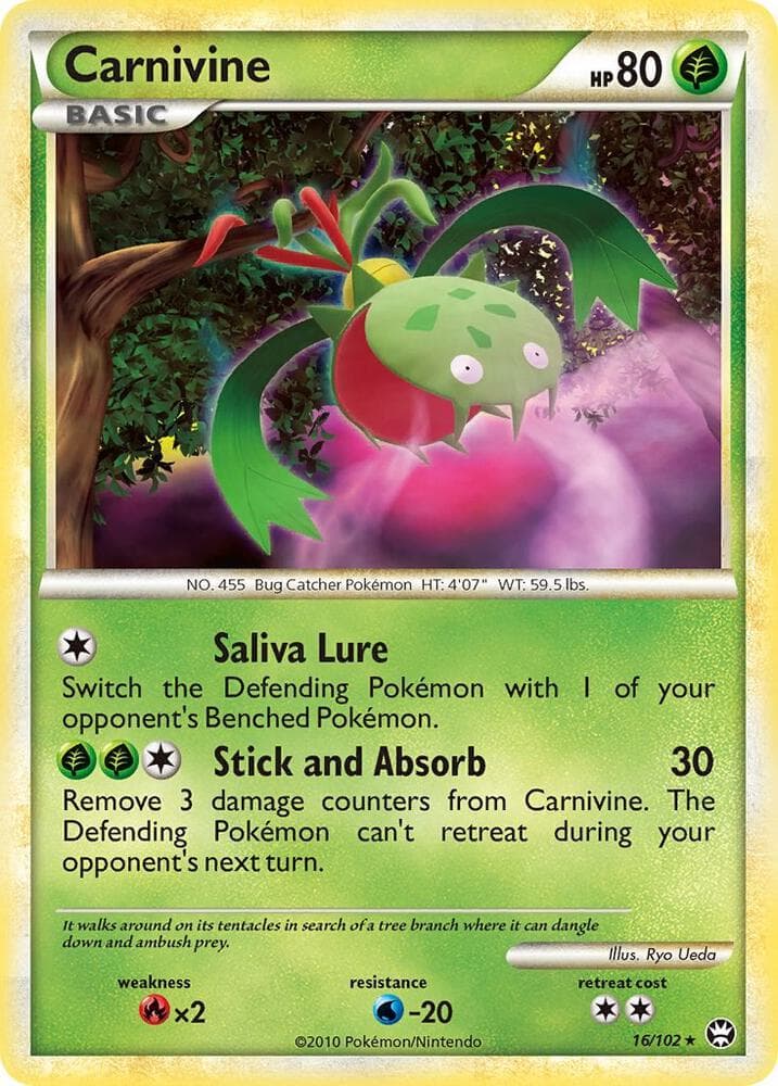 Carnivine Basic