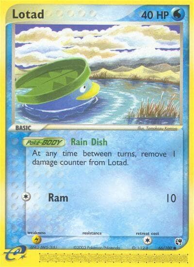Lotad Basic