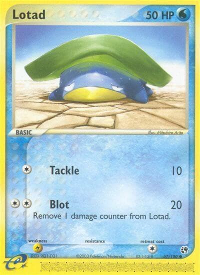 Lotad Basic