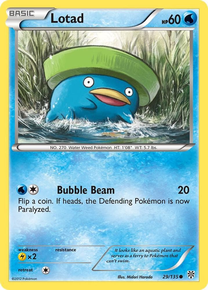 Lotad Basic
