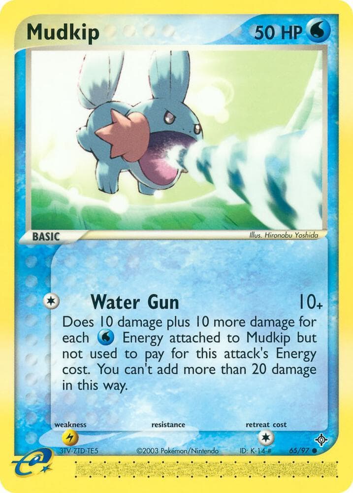 Mudkip Basic