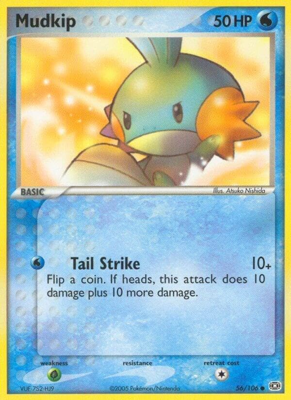 Mudkip Basic