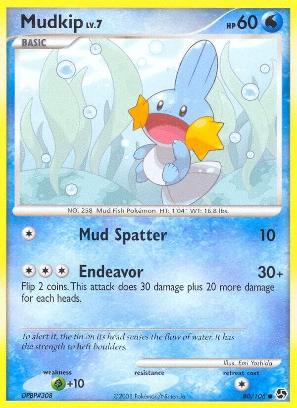 Mudkip Basic