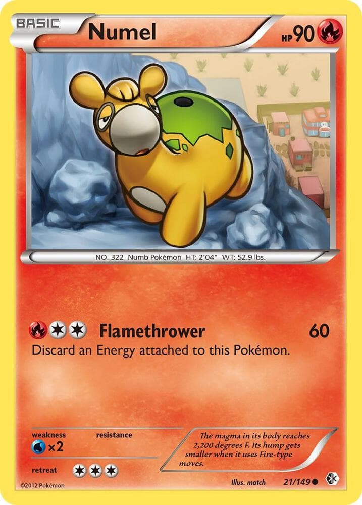 Numel Basic
