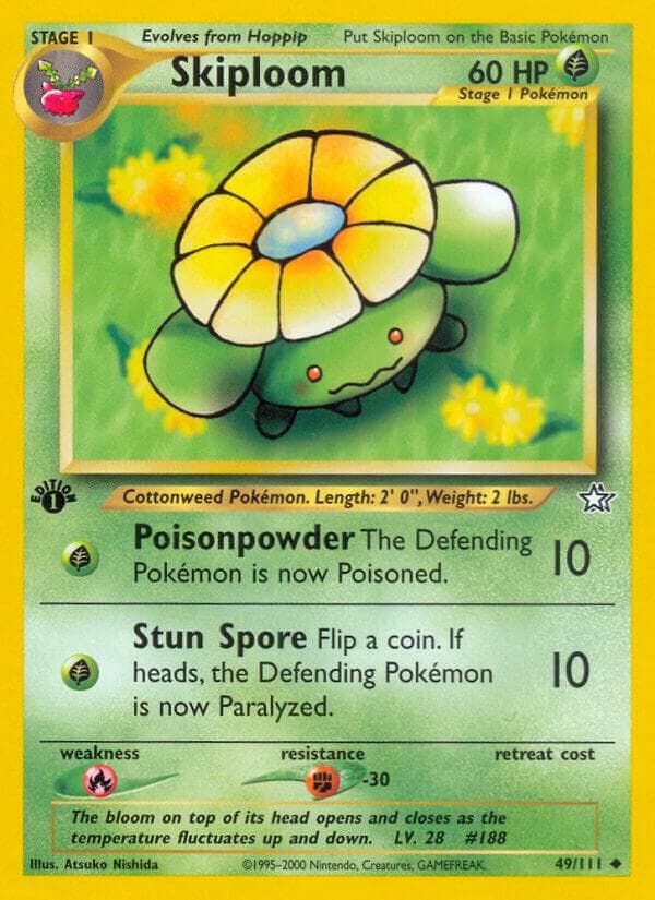 Skiploom Stage 1