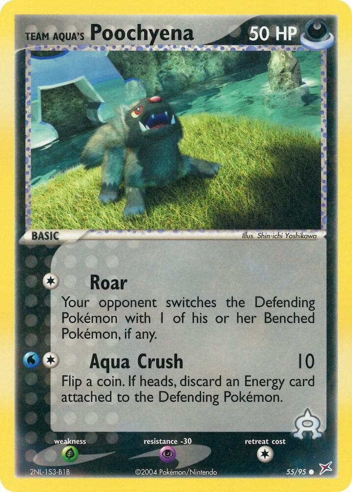 Team Aquas Poochyena Basic