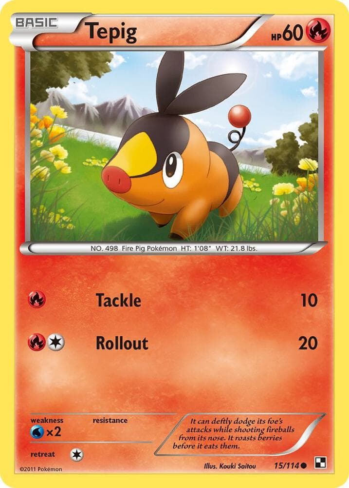 Tepig 15 Basic
