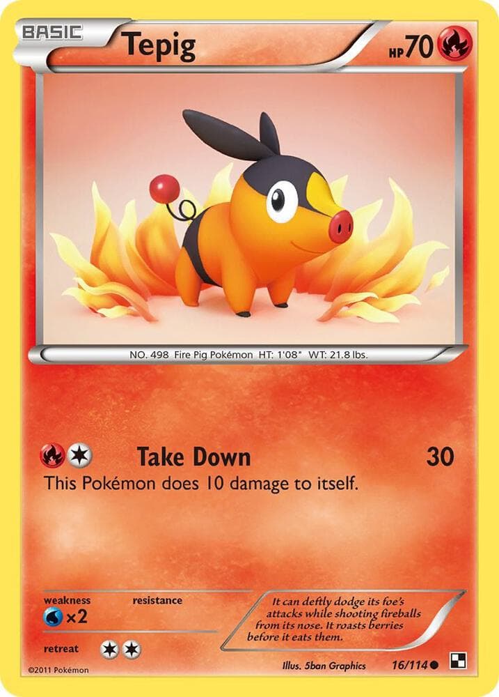 Tepig 16 Basic