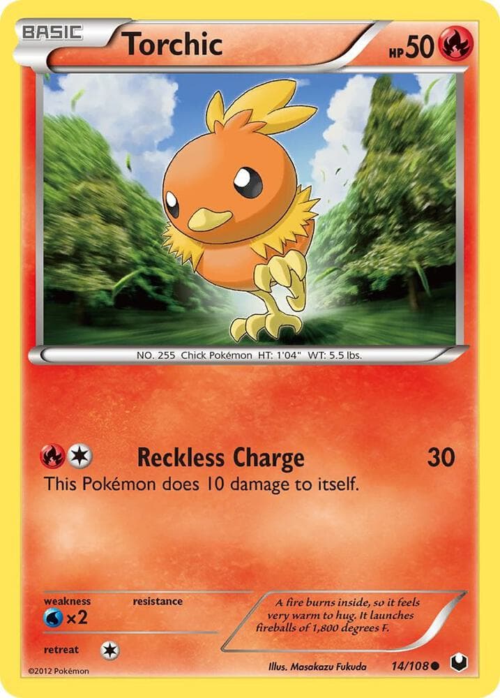 Torchic 14 Basic