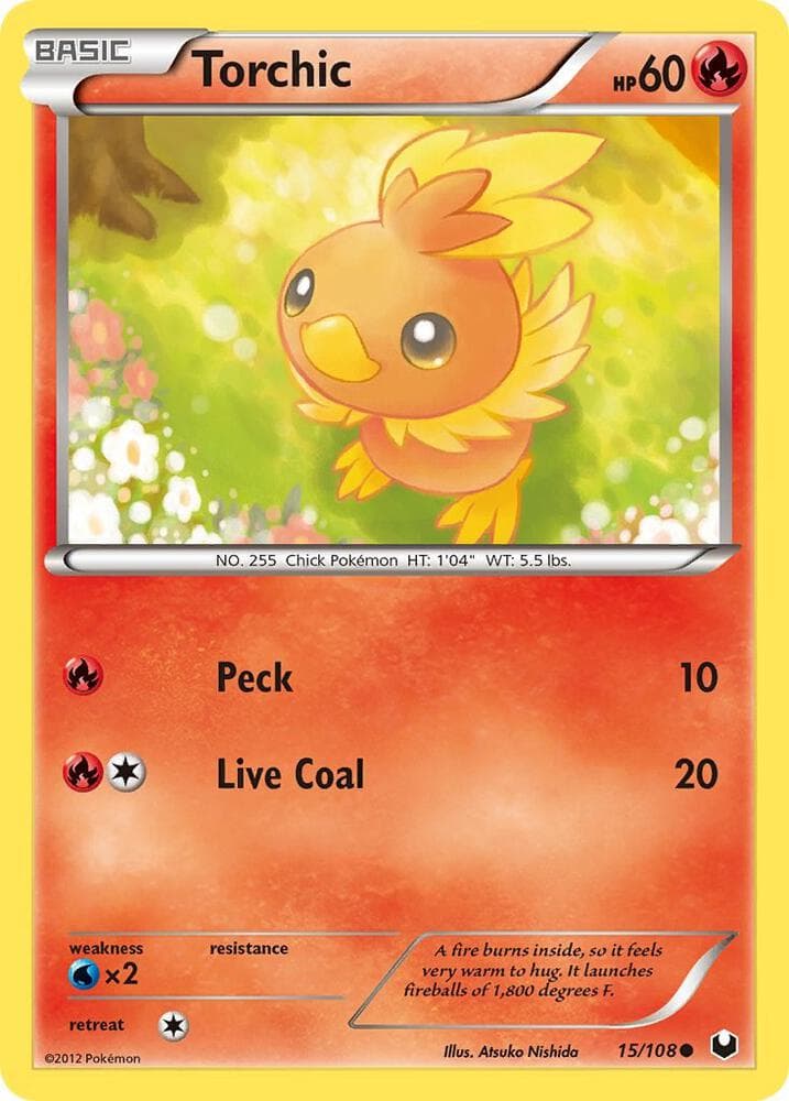 Torchic 15 Basic