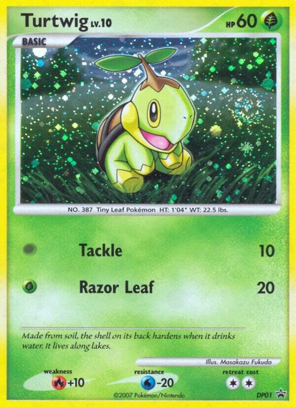 Turtwig DP01 Basic