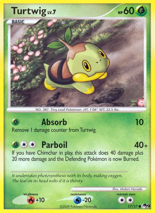 Turtwig Basic