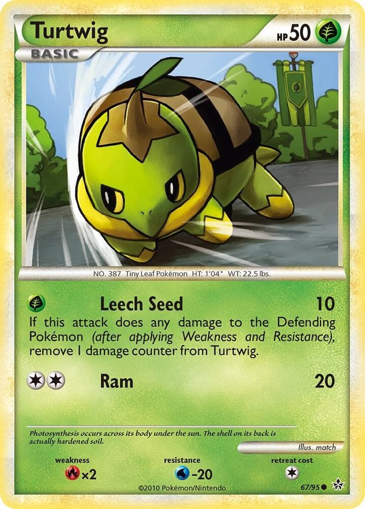Turtwig Basic