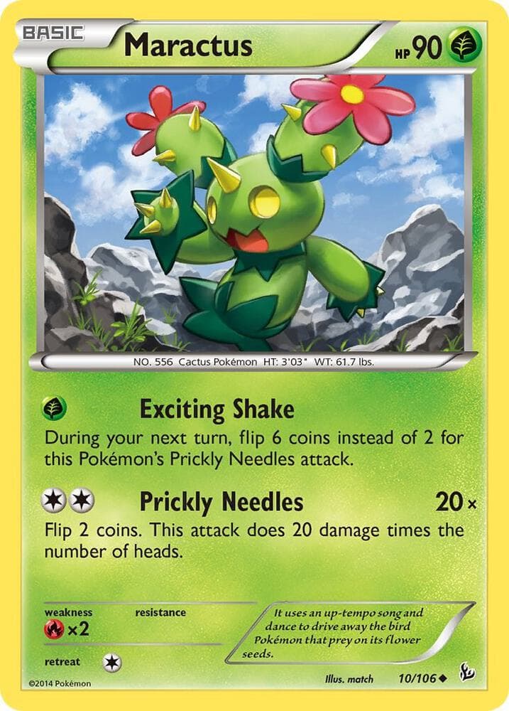 Maractus Basic
