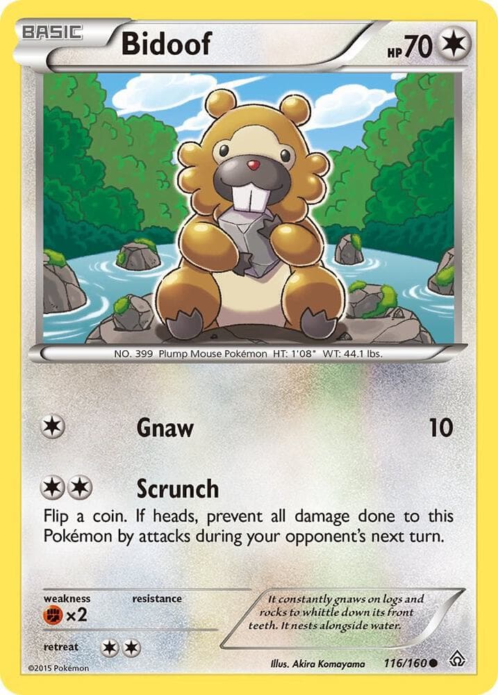 Bidoof Basic