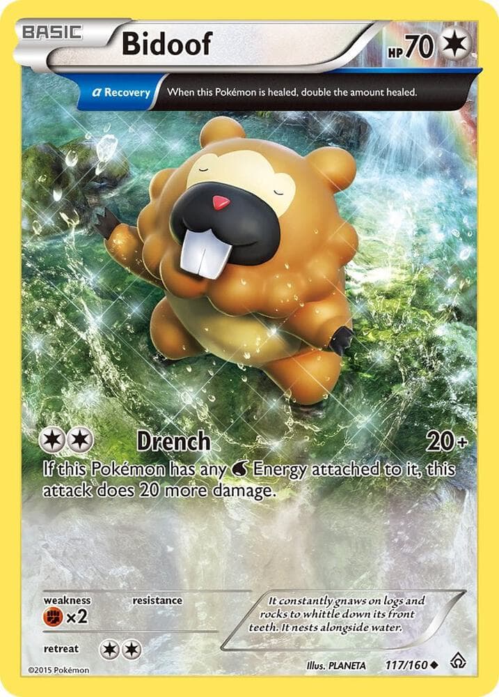 Bidoof Alpha Basic