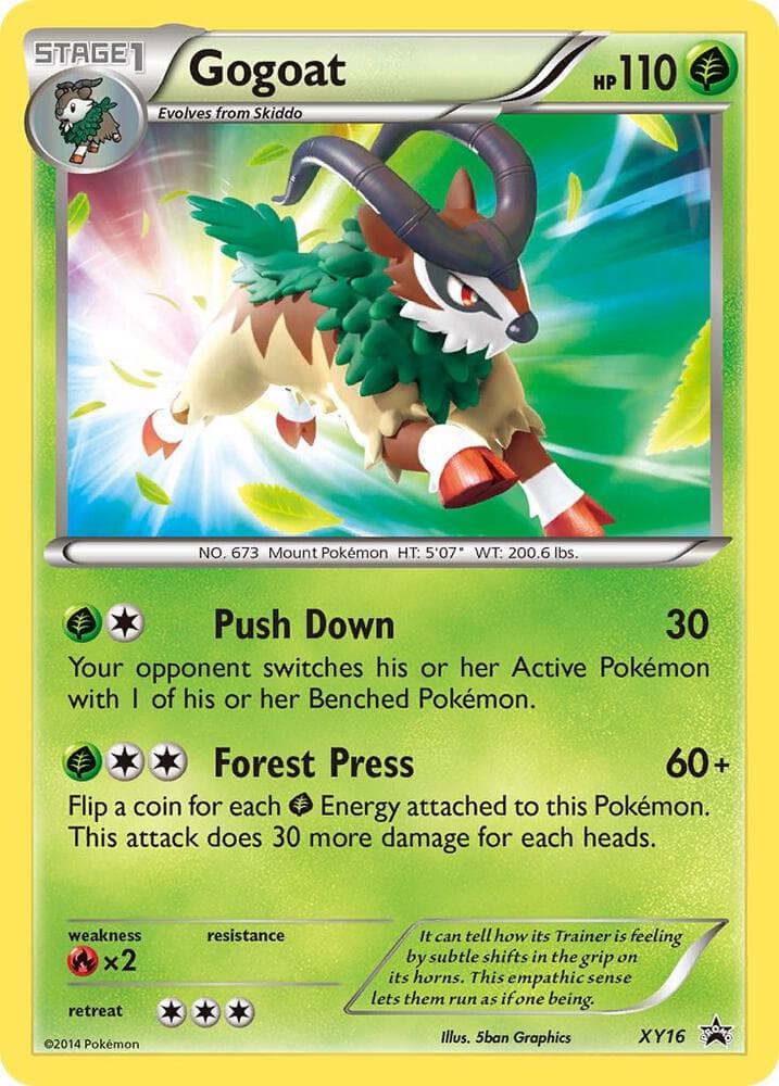 Gogoat XY16 Stage 1