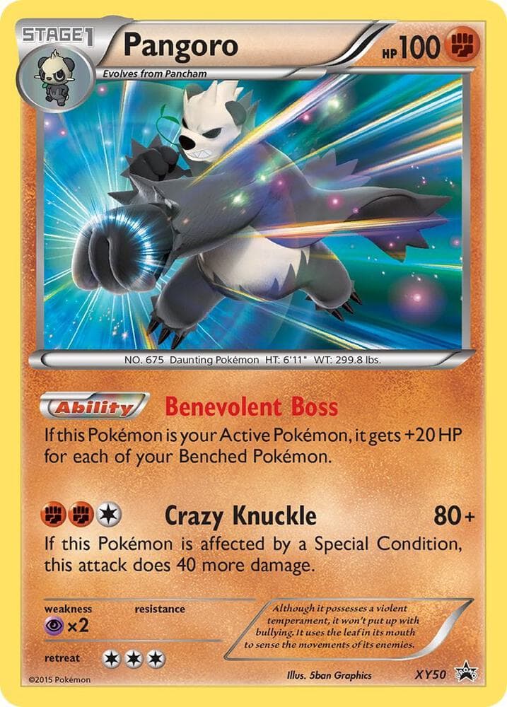 Pangoro XY50 Stage 1