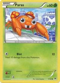 Paras Basic
