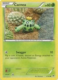 Cacnea Basic
