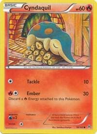 Cyndaquil Basic